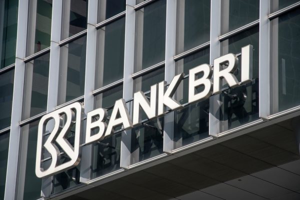 BRI Tingkatkan Produktivitas Peternak Domba UMKM